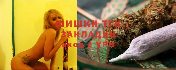 прущие грибы Аркадак