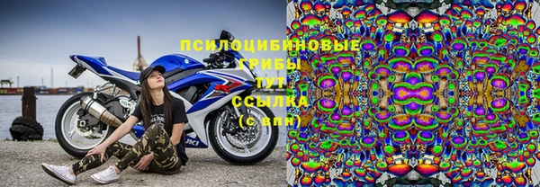 прущие грибы Аркадак
