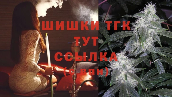 соль ск Арсеньев