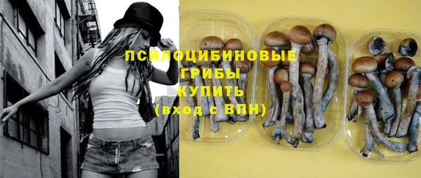 соль ск Арсеньев