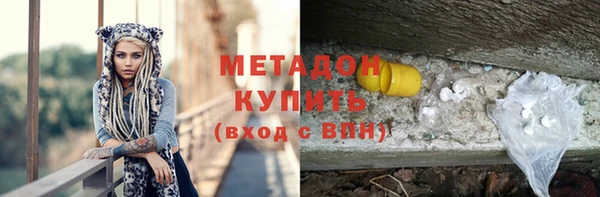 прущие грибы Аркадак