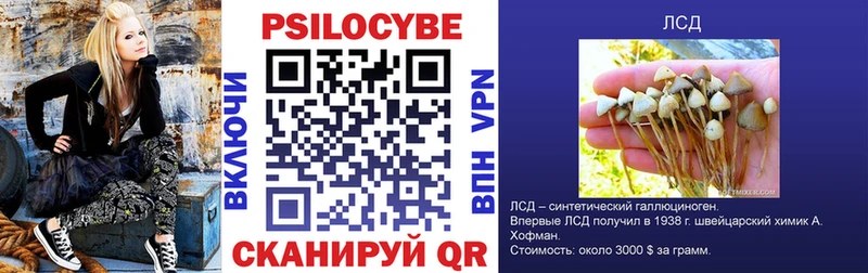 площадка какой сайт цена кракен как войти Рыбинск Галлюциногенные грибы Cubensis