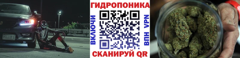 Бошки Шишки VHQ  Рыбинск 
